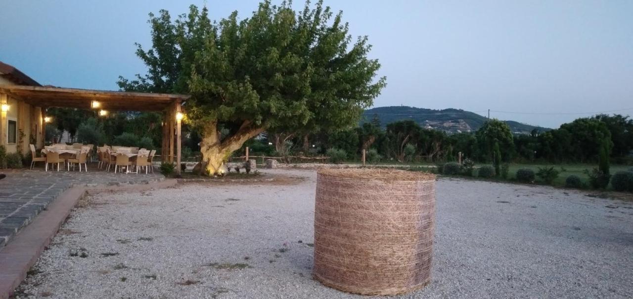 B&B Tenuta San Michele Capaccio Exteriör bild